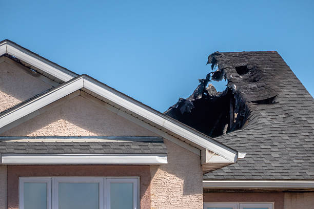 Top rated local Odor Removal specialists in Waddell, AZ